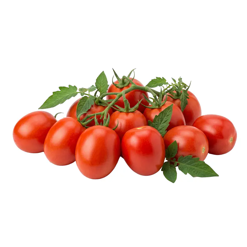 Tomate Santa Clara - Sobre 1gr 1