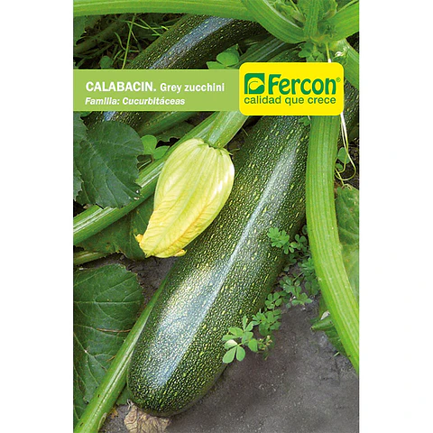 Calabacín Grey Zucchini - Sobre 4gr