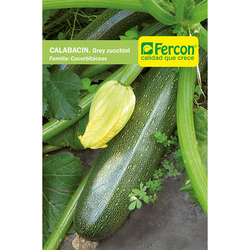 Calabacín Grey Zucchini - Sobre 4gr 2
