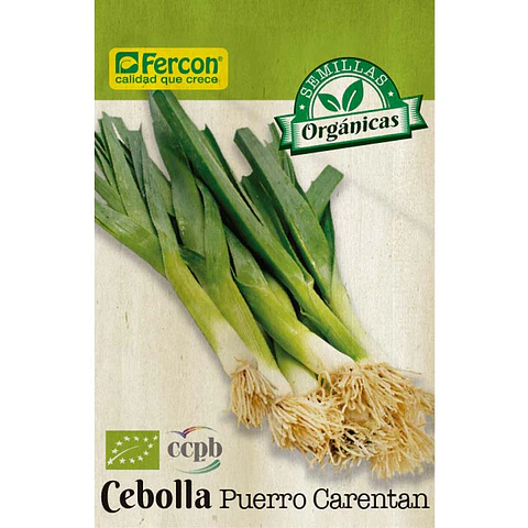 Cebolla Puerro Carentan Bio - Sobre 1gr