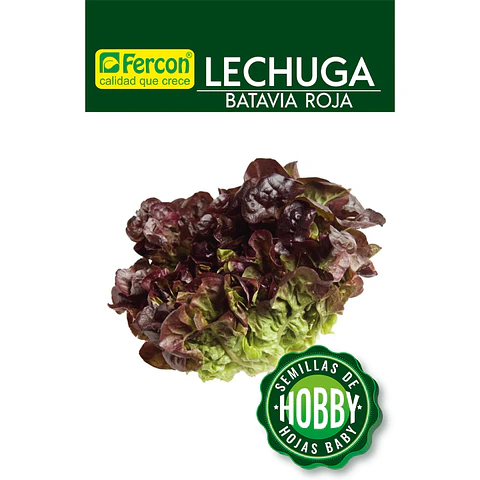 Lechuga Batavia Roja - Sobre 1gr