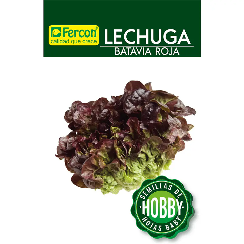 Lechuga Batavia Roja - Sobre 1gr 2
