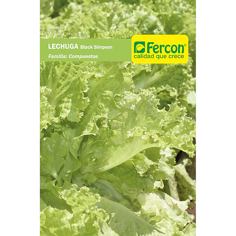 Lechuga Black Simpson - Sobre 3gr