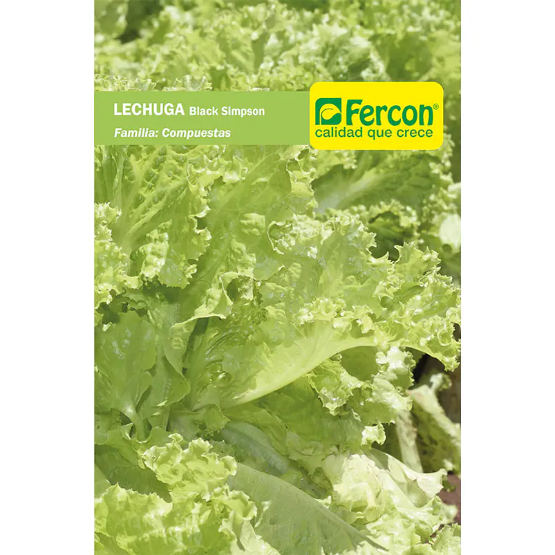 Lechuga Black Simpson - Sobre 3gr 2
