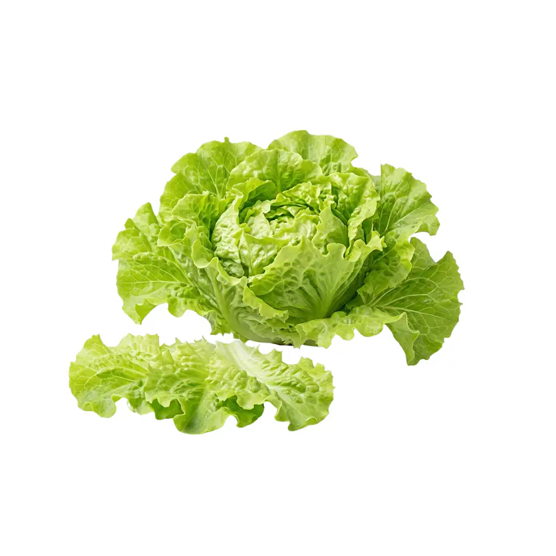 Lechuga Black Simpson - Sobre 3gr 1