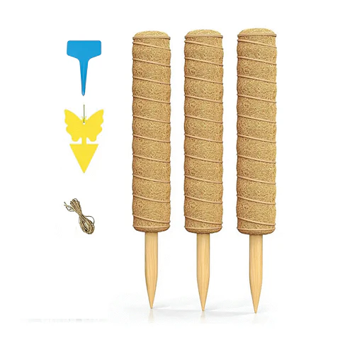 Soporte en Musgo Coco Plantas Trepadoras x3 Piezas más accesorios
