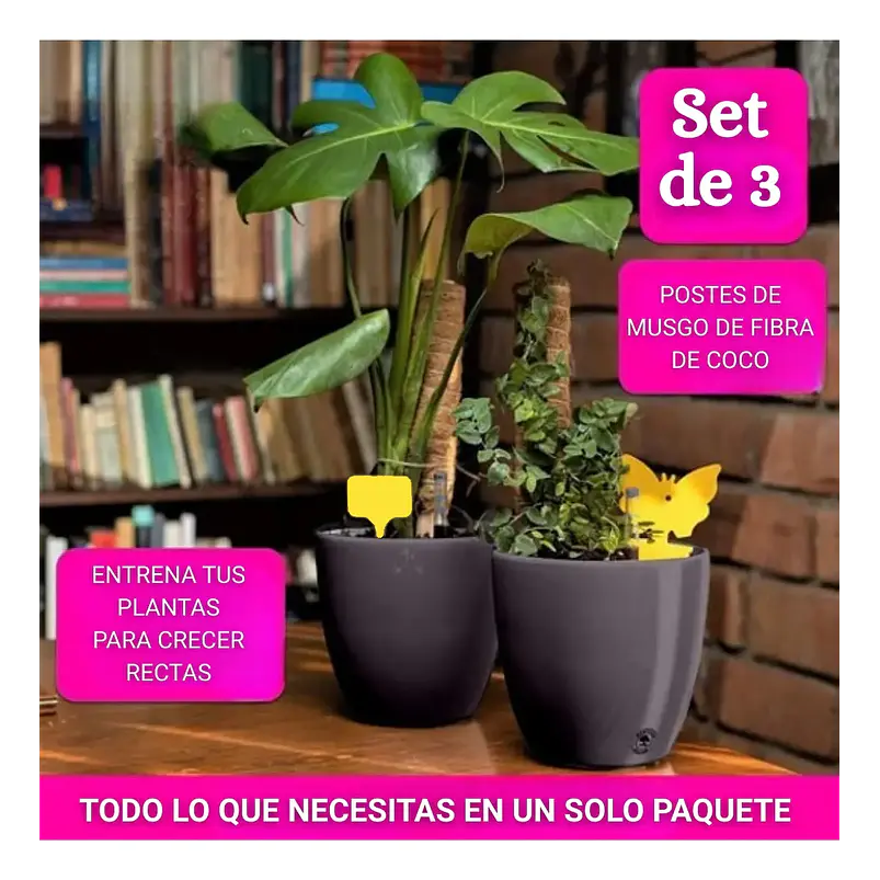 Soporte en Musgo Coco Plantas Trepadoras x3 Piezas más accesorios 5