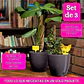 Soporte en Musgo Coco Plantas Trepadoras x3 Piezas más accesorios - Miniatura 5