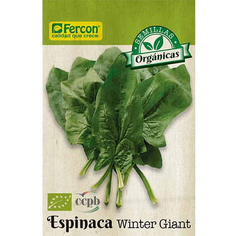 Espinaca Winter Giant Bio - Sobre 1gr