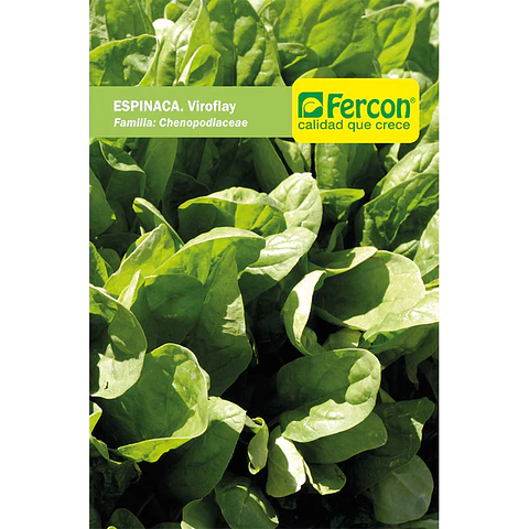 Espinaca Viroflay - Sobre 5gr
