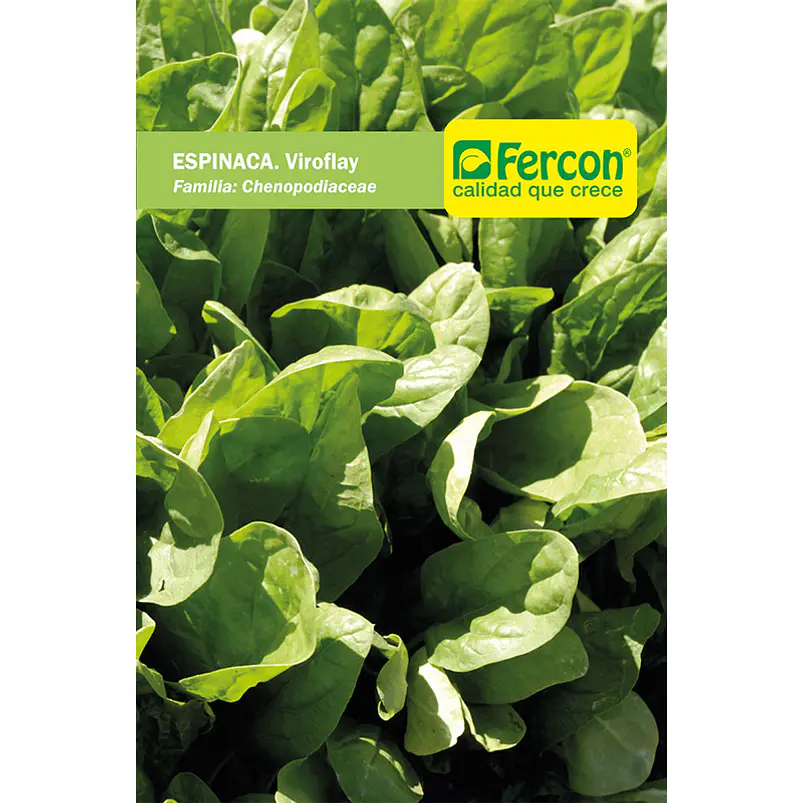 Espinaca Viroflay - Sobre 5gr 2