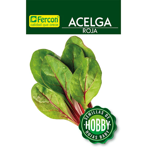 Acelga Roja - Sobre 1gr