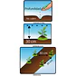 Semillas de Hierbabuena - Sobre 4gr - Miniatura 3