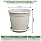 Maceta Plantas Redonda Plástica 21cm Diámetro x19cm Alto Más plato - Miniatura 18