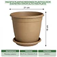 Maceta Plantas Redonda Plástica 21cm Diámetro x19cm Alto Más plato - Miniatura 19