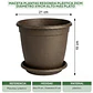 Maceta Plantas Redonda Plástica 21cm Diámetro x19cm Alto Más plato - Miniatura 20