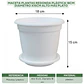 Maceta Plantas Redonda Plástica 18cm Diámetro x15cm Alto Más Plato - Miniatura 12
