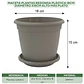 Maceta Plantas Redonda Plástica 18cm Diámetro x15cm Alto Más Plato - Miniatura 13