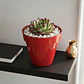 Maceta Plástica Milan  Brillante 22cm Diámetro x19cm Alto  - Miniatura 19