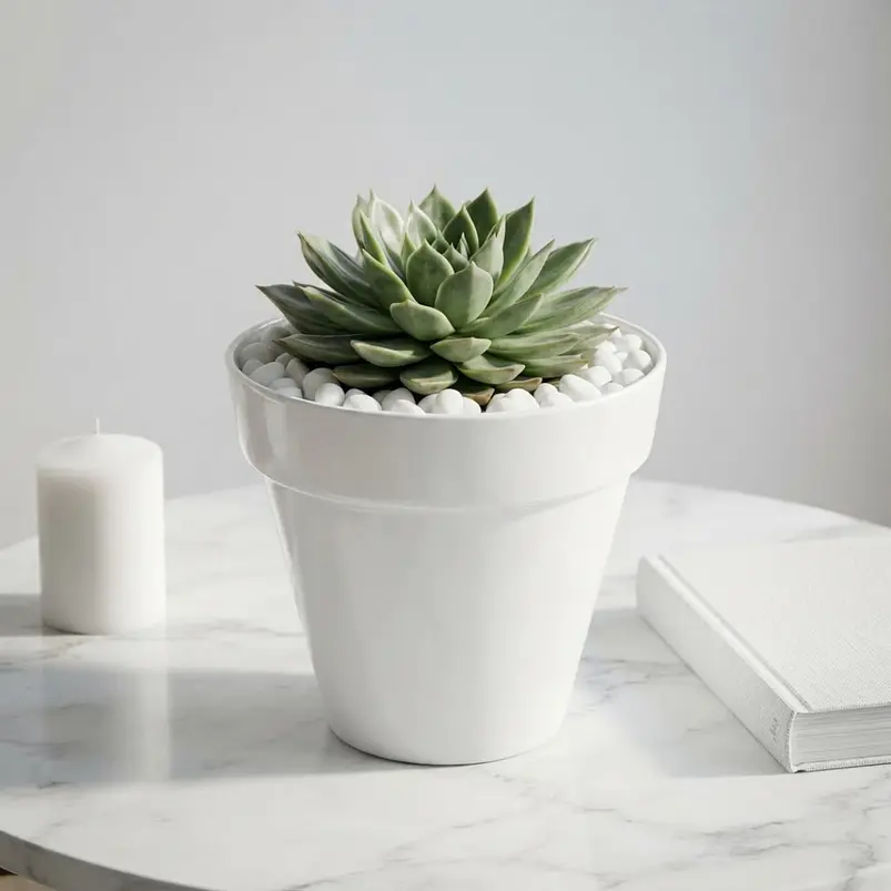 Maceta Plástica Milan  Brillante 22cm Diámetro x19cm Alto  22
