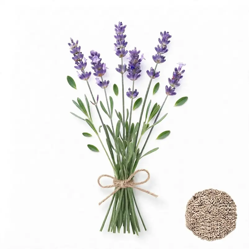 Semillas Lavanda - Sobre 3gr 1
