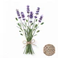 Semillas Lavanda - Sobre 3gr - Miniatura 1
