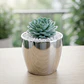 Maceta Plástica Bahía Chrome Metalizado 9cm Diámetro x8cm Alto - Miniatura 11