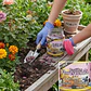 Fertilizante Plantas Florescencia Tabletas x60 Unidades - Miniatura 3