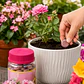 Fertilizante Plantas Florescencia Tabletas x60 Unidades - Miniatura 2