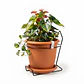 Maceta plástica colores soporte pared más plato 18cm diámetro x15cm - Miniatura 21