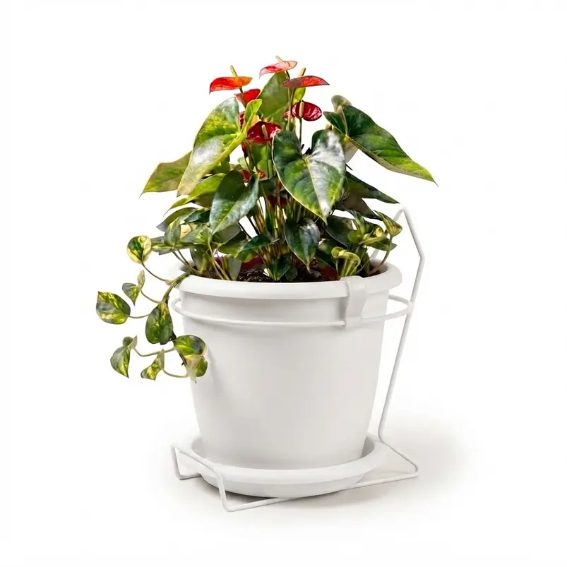 Maceta plástica colores soporte pared más plato 18cm diámetro x15cm 22
