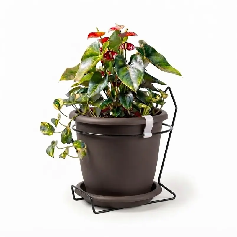 Maceta plástica colores soporte pared más plato 18cm diámetro x15cm 23