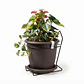 Maceta plástica colores soporte pared más plato 18cm diámetro x15cm - Miniatura 23