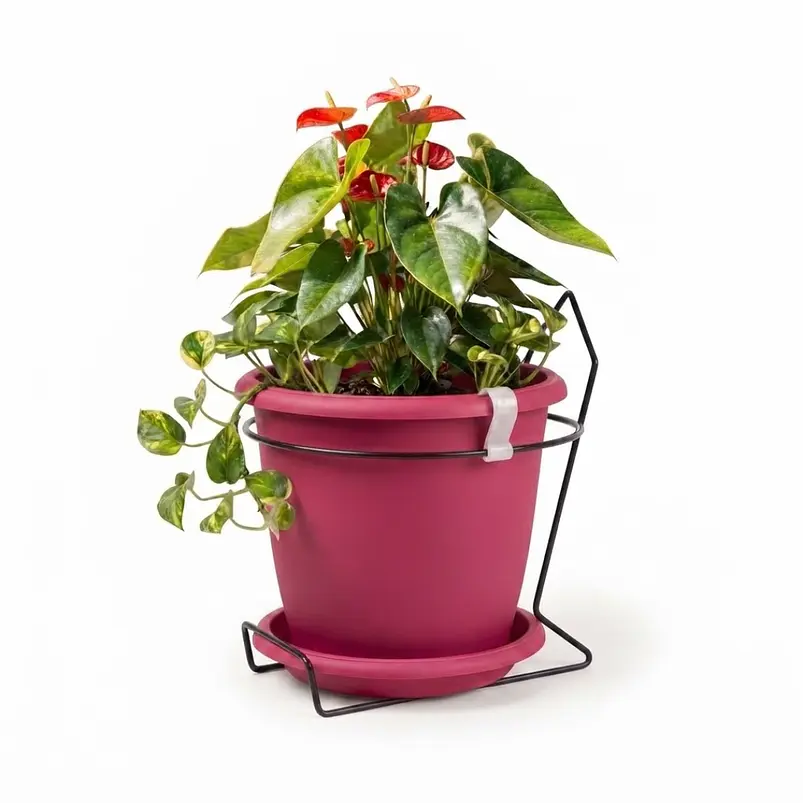Maceta plástica colores soporte pared más plato 18cm diámetro x15cm 24