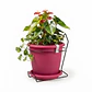 Maceta plástica colores soporte pared más plato 18cm diámetro x15cm - Miniatura 24