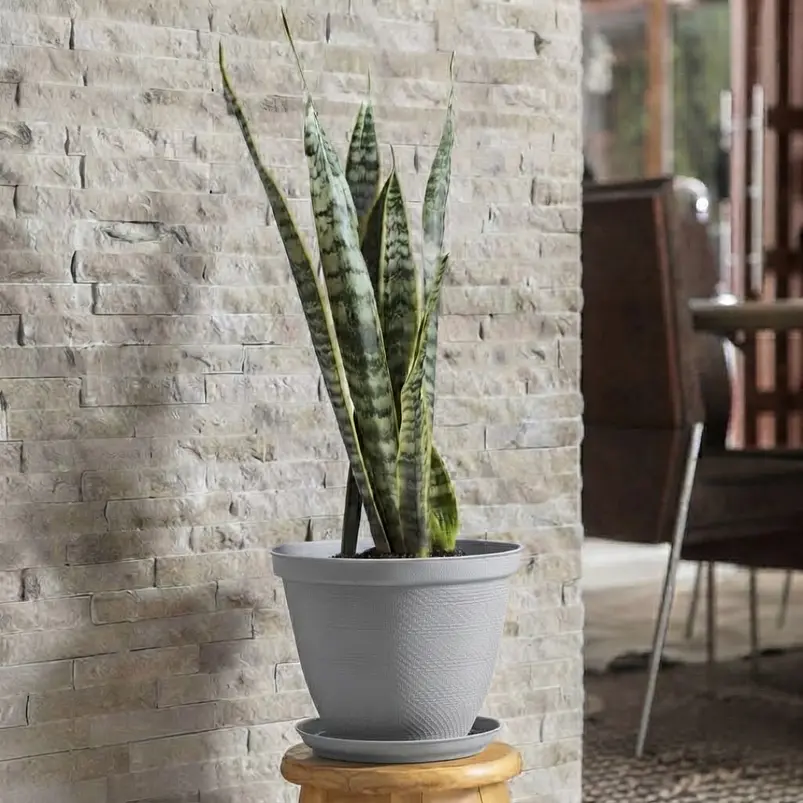 Maceta Plástica de Plantas más plato 30cm Diámetro x23,6cm Alto 9