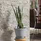 Maceta Plástica de Plantas más plato 30cm Diámetro x23,6cm Alto - Miniatura 9