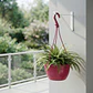 Maceta plástica de colgar para plantas de 20cm diámetro - Miniatura 11