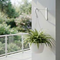 Maceta plástica de colgar para plantas de 20cm diámetro - Miniatura 14