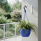 Maceta plástica de colgar para plantas de 20cm diámetro - Miniatura 15