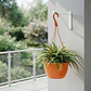 Maceta plástica de colgar para plantas de 20cm diámetro - Miniatura 19
