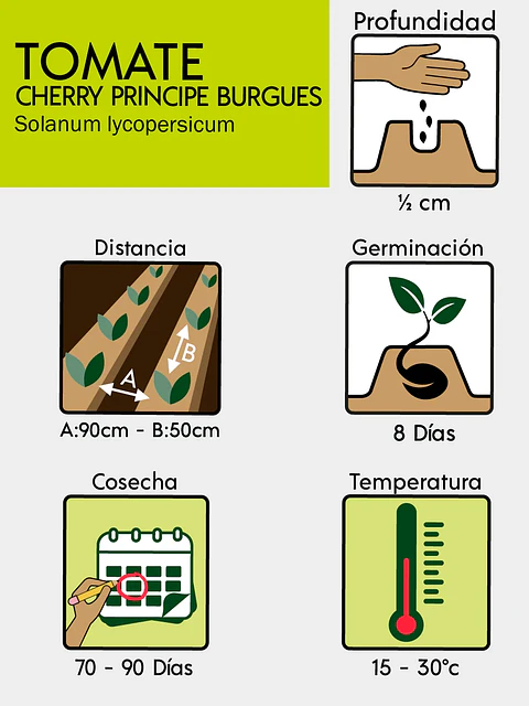 Semillas De Tomate Cherry
