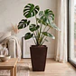 Maceta De Plantas Plástica Gemello Lisa 26cm x26cm x50cm Alto - Miniatura 4