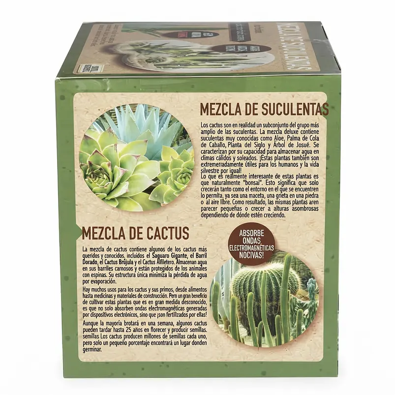 Terrario De Cristal Diseño Doble Esfera 4