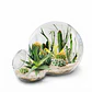 Terrario De Cristal Diseño Doble Esfera - Miniatura 1