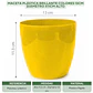 Maceta Plástica Brillante Colores 13cm Diámetro x11cm Alto - Miniatura 10