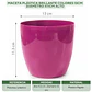 Maceta Plástica Brillante Colores 13cm Diámetro x11cm Alto - Miniatura 11