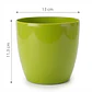 Maceta Plástica Brillante Colores 13cm Diámetro x11cm Alto - Miniatura 14