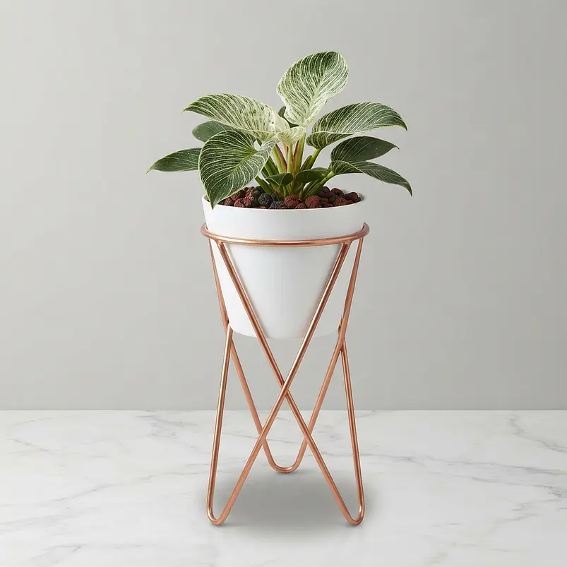 Portamateras Plantas Dorado Mate o Negro Triangular Mediano 4