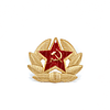 Pin Soviético Ejército Rojo